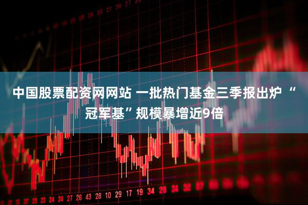 中国股票配资网网站 一批热门基金三季报出炉 “冠军基”规模暴增近9倍