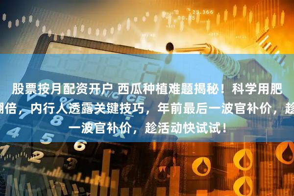 股票按月配资开户 西瓜种植难题揭秘！科学用肥让瓜甜产量翻倍，内行人透露关键技巧，年前最后一波官补价，趁活动快试试！